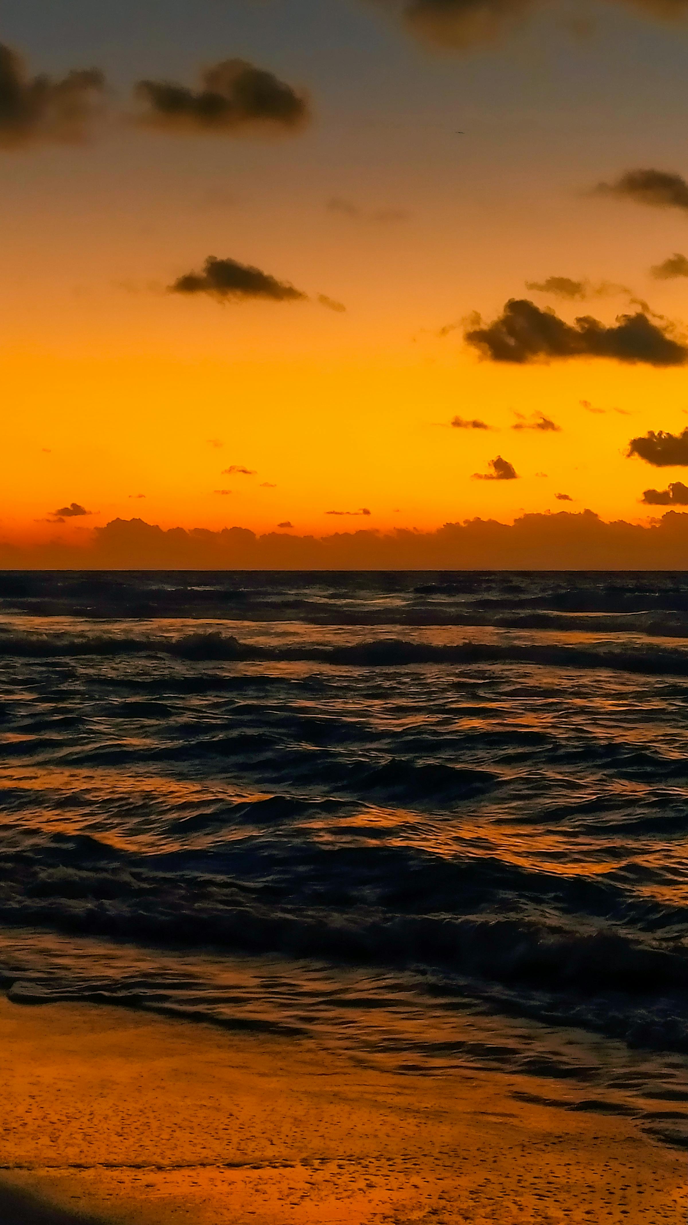 Cancún Caribbean coastline with palm trees at sunset